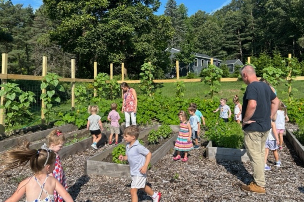 Saint Gregory's School's garden